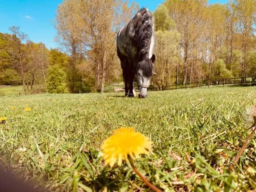 Faire Une Pause Avec Le Temps Thimister Exteriör bild