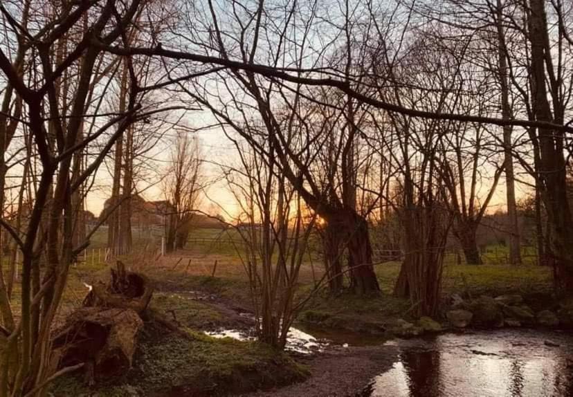 Faire Une Pause Avec Le Temps Thimister Exteriör bild